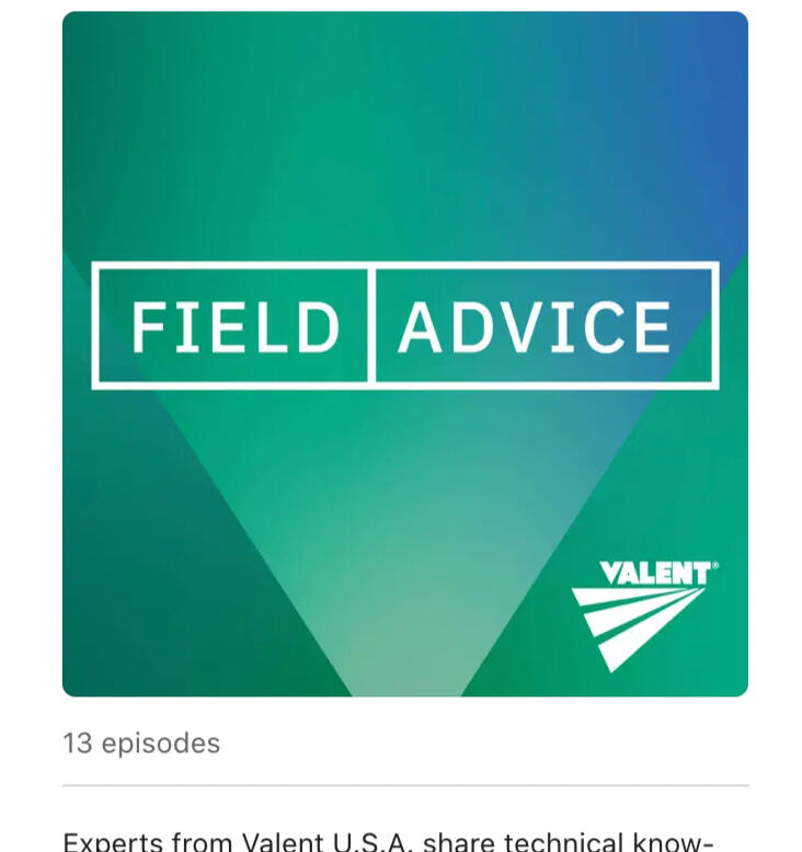 Valent: Podcast